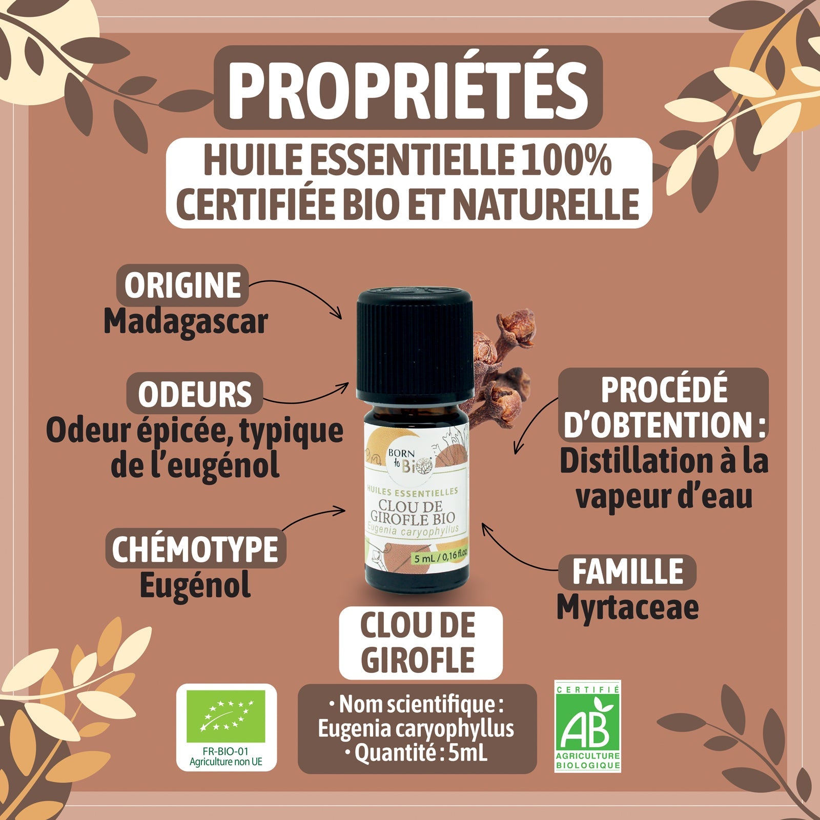 Huile essentielle Clou de Girofle Certifiée Bio